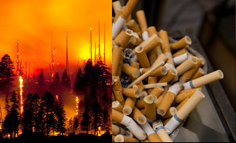 El humo de incendios forestales como ‘fumar cigarrillos continuamente’: Estudio médico